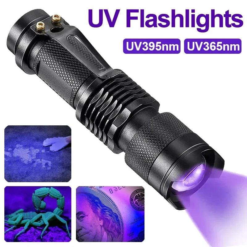High-power UV blacklight flashlight, essential for pet stain detection. Find dog & cat urine quickly & easily.
