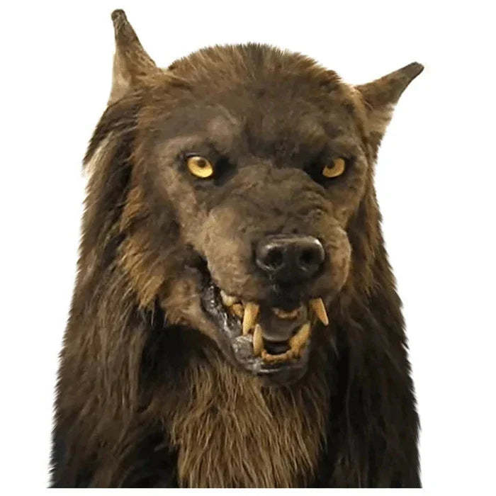 Scary realistic werewolf mask for Halloween, cosplay, and costume parties. Unisex animal face accessory.