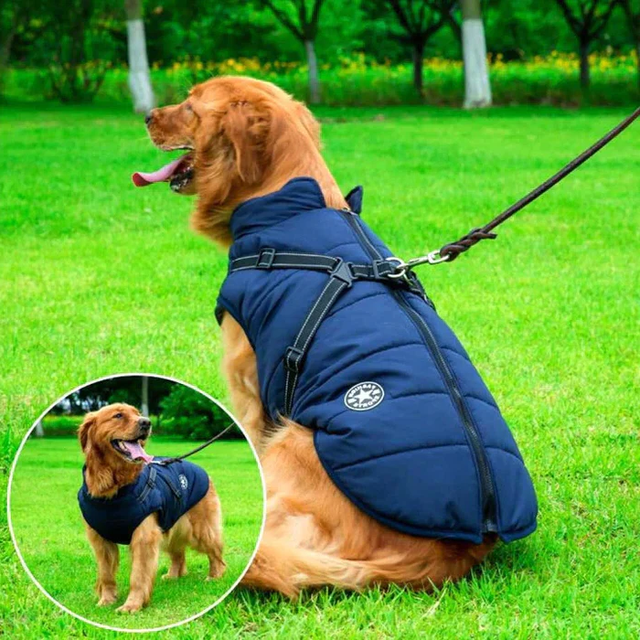 Reflective waterproof dog jacket with integrated harness, ideal pet apparel for safe and warm outdoor winter walks.