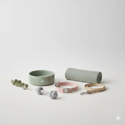 Pet Accessories