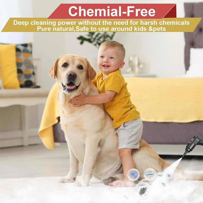 Upholstery high pressure steam cleaner for deep, chemical-free cleaning of fabrics and hard surfaces.