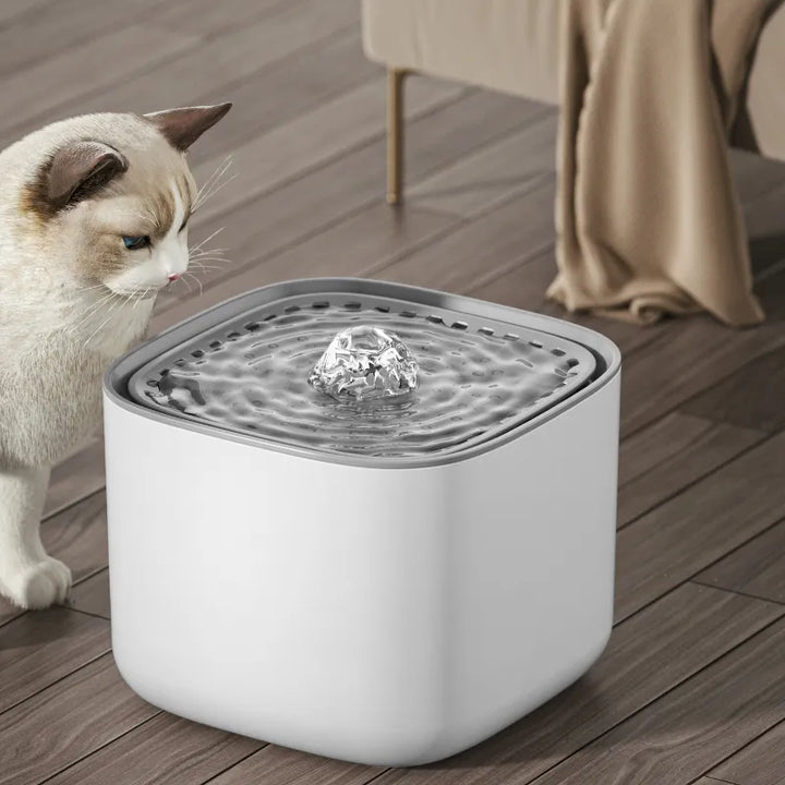 Automatic 3L filtered pet water dispenser, ensures silent and fresh water supply for cats & dogs.