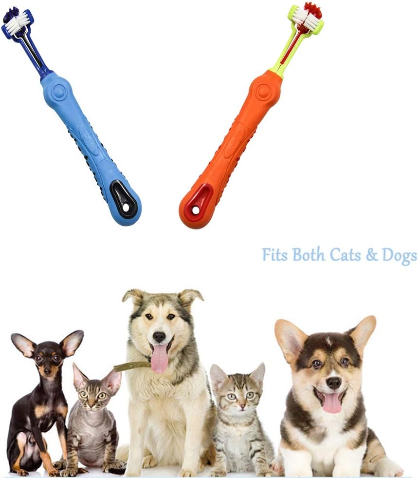 Pet dental supplies: 2-pack 3-sided toothbrush for cats. Feline oral care for clean teeth & fresh breath.