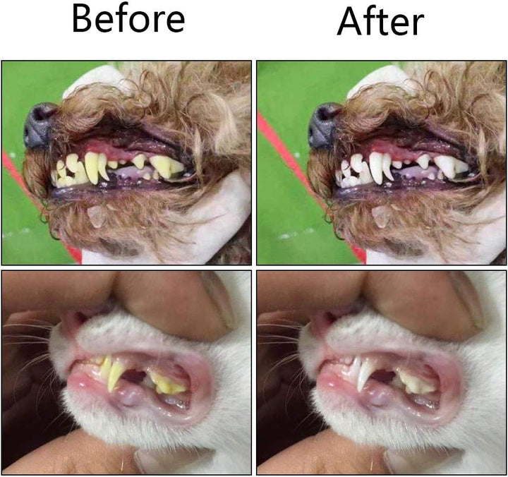 Healthy pet teeth: 3-sided toothbrush 2-pack. Essential dental tool for fresh breath & tartar removal in pets.