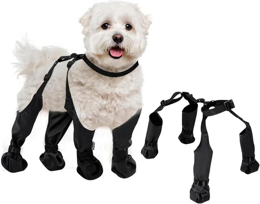 Adjustable dog boots for all-weather paw protection & comfort during walking & hiking. Waterproof & anti-slip.