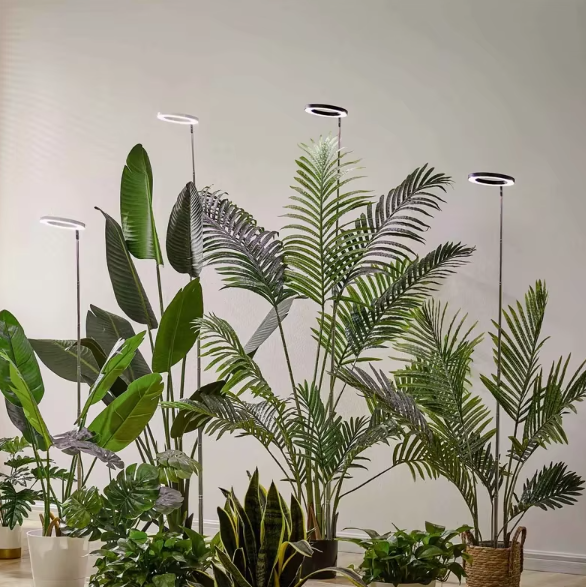Adjustable full spectrum LED grow light for indoor plants, dimmable with timer, promoting healthy horticulture.