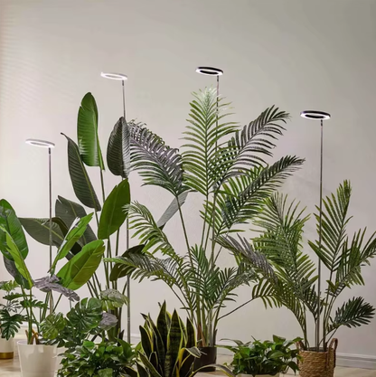 Adjustable full spectrum LED grow light for indoor plants, dimmable with timer, promoting healthy horticulture.
