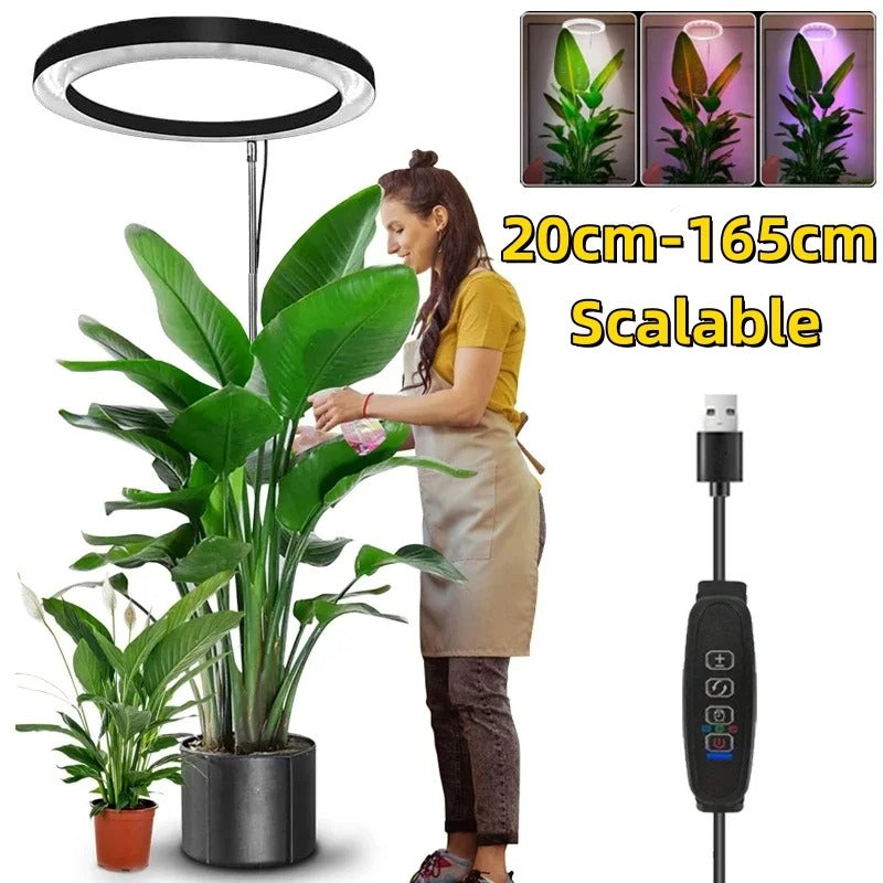 Telescoping LED grow light for indoor plants, full spectrum, easily adjustable for diverse gardening needs.