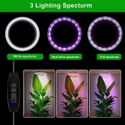 Advanced full spectrum LED grow light for indoor plants, dimmable, timer, supports optimal plant care & growth.