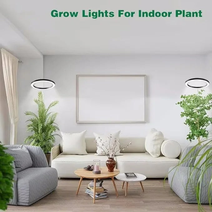Versatile indoor plant grow light with telescoping stand, full spectrum LEDs, dimmable, and built-in timer.