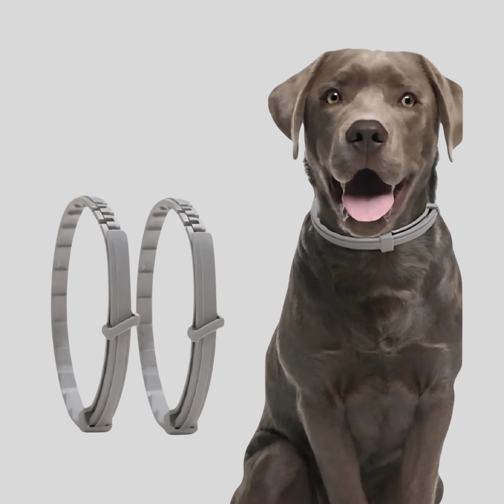 Adjustable, natural anti-tick & flea pet collar for dogs & cats. Provides water-resistant outdoor protection & pet care.