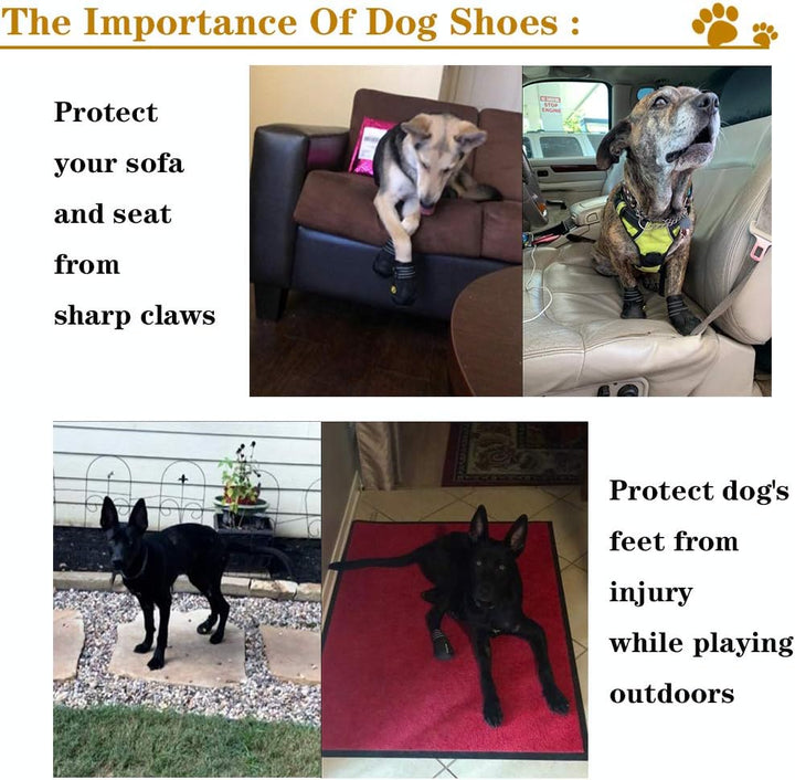 Rugged All-Weather Dog Boots, built tough for outdoor dog gear. Ultimate paw protection & comfort.
