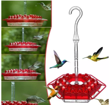 Vibrant hummingbird enjoying the ant-proof nectar feeder in a lush garden. Great for bird watching.