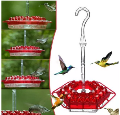 Vibrant hummingbird enjoying the ant-proof nectar feeder in a lush garden. Great for bird watching.