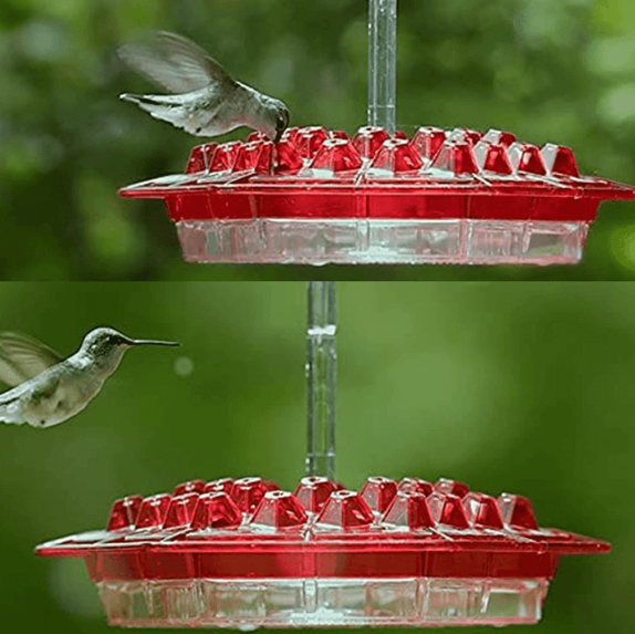 Close-up of ant-proof hummingbird feeder showing nectar ports, perch, and hanging hook. Polycarbonate.