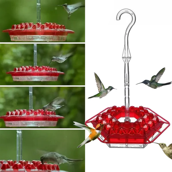 Ant-proof hummingbird feeder with 30 bee-resistant ports for outdoor garden decor. Durable polycarbonate, easy clean.