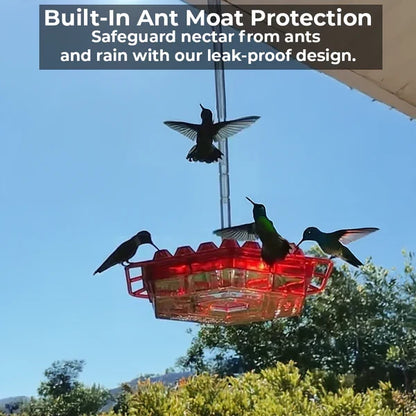 Easy clean hummingbird feeder, ant-proof and bee-resistant design with 30 ports. Durable polycarbonate for outdoor use.
