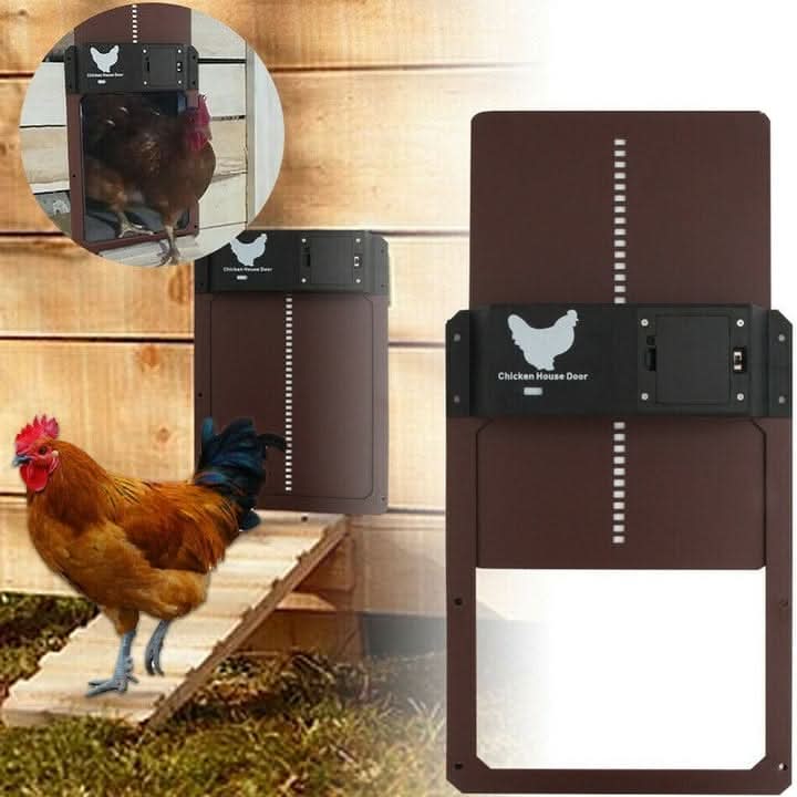 Easy installation automated chicken coop door with light sensor for daily poultry care and chicken safety.