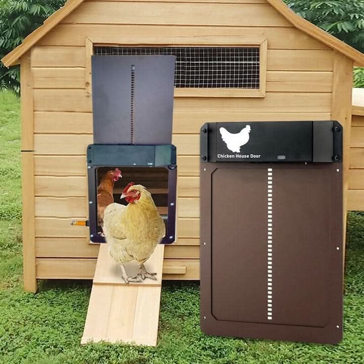 Weather resistant automated chicken coop door. Predator deterrent for safe, protected chickens & poultry care.