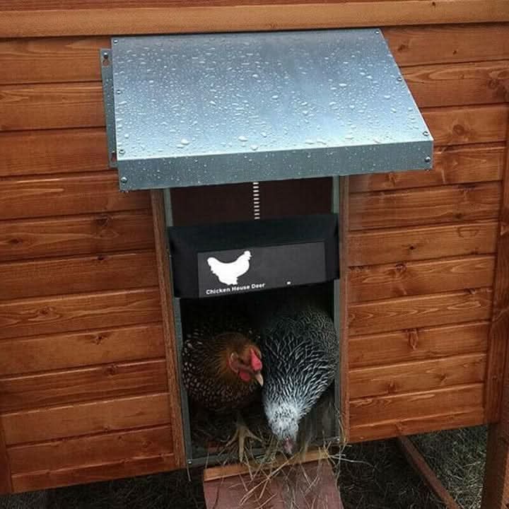 Essential chicken supplies: Automated coop door with smart sensor for convenient and secure poultry management.