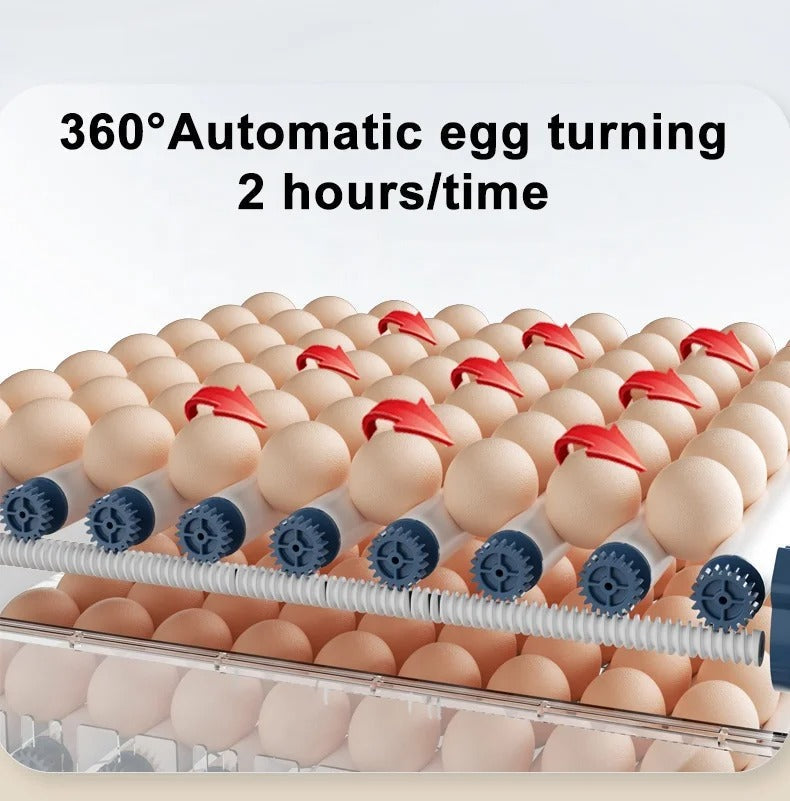 High-capacity automatic egg broiler, perfect for incubating chicken eggs at home. Easy-to-use temperature control.