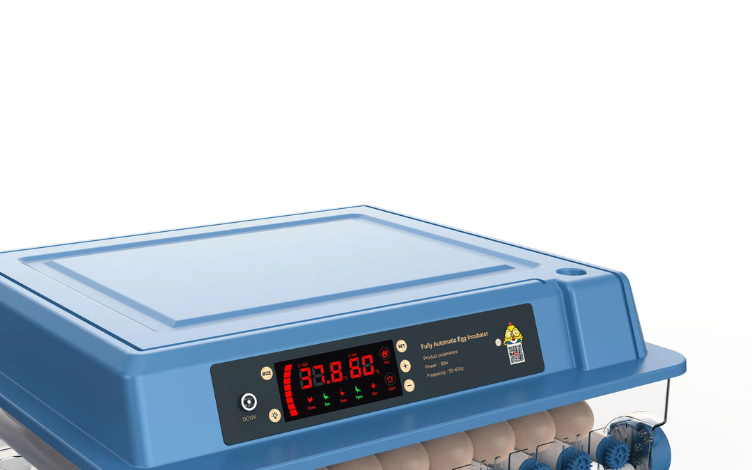 Compact automatic egg incubator with clear view. Essential farm supplies for home hatching of poultry & bird eggs.