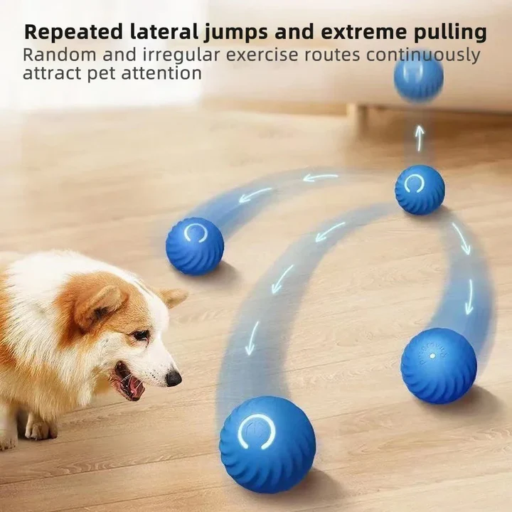 Automatic moving dog ball for interactive play, reducing anxiety and boredom in pets and puppies.