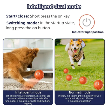 Pet anxiety relief toy: automatic moving ball for dogs, keeps puppies engaged, reduces boredom & stress.