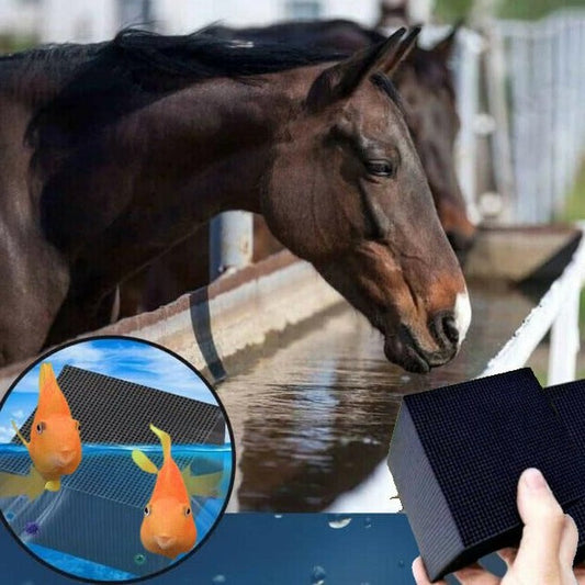 Bio Cube water purifier for livestock, pets & farm animals. Keeps water clean, clear & removes algae in troughs.