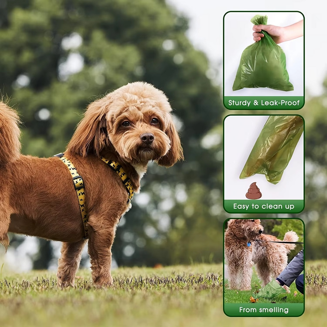 Dog walking essential: biodegradable, leak-proof pet waste bags with a dispenser for easy outdoor cleanup.