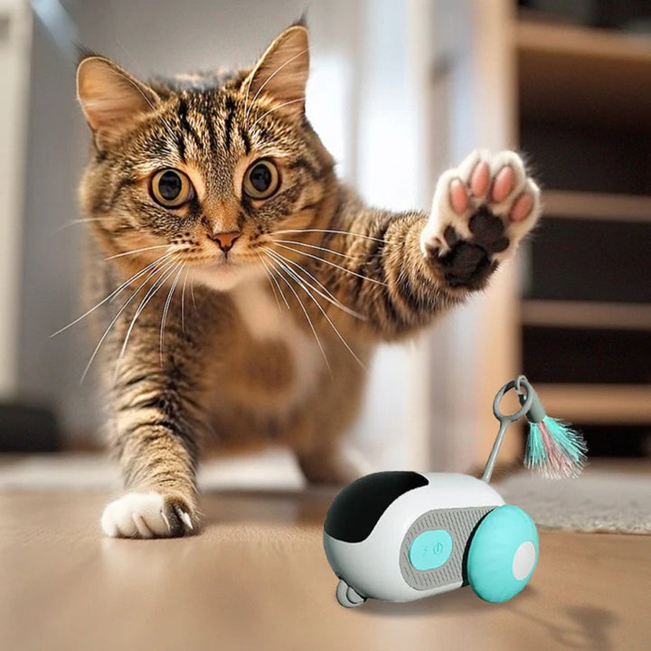 Blue and orange automatic interactive cat chase toy provides endless fun for indoor cats. Rechargeable.