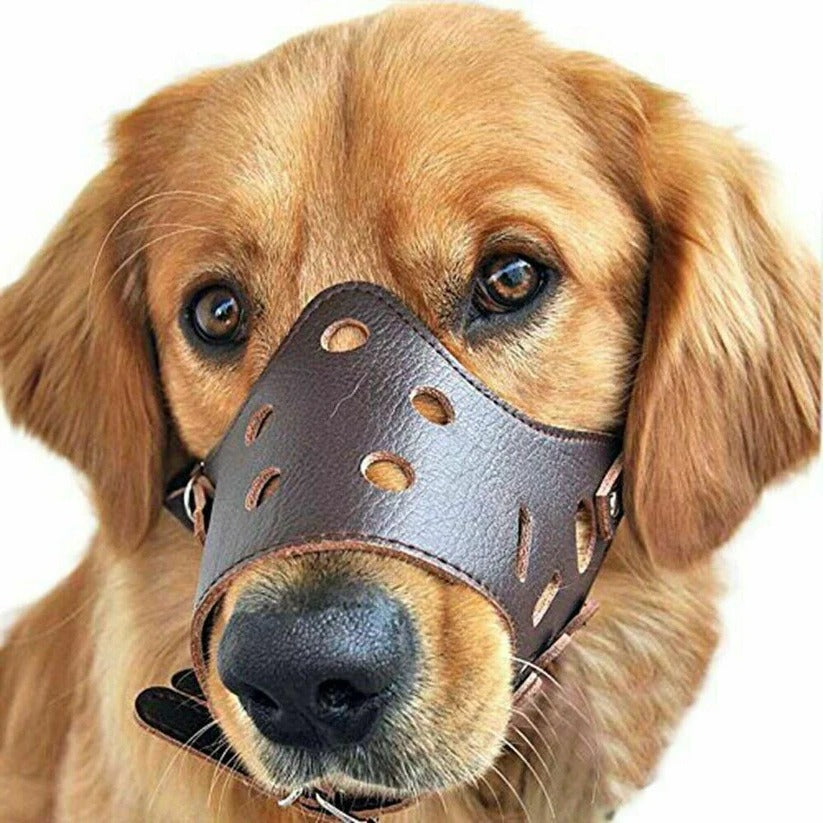Breathable mesh dog muzzle for comfortable training & safe walks, preventing bites.