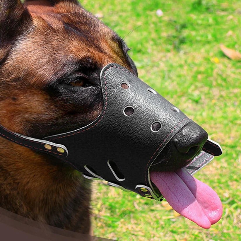 Adjustable dog muzzle with leather straps for pet safety, bite prevention, & gentle control.