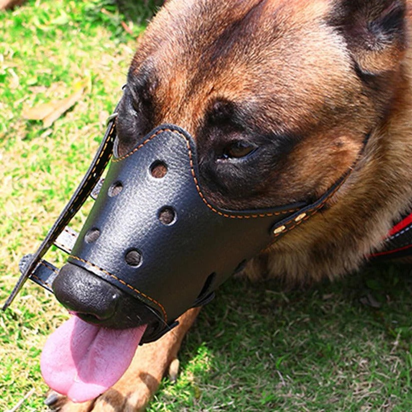 Comfortable leather & mesh dog mouth guard for bite prevention during training and walks.