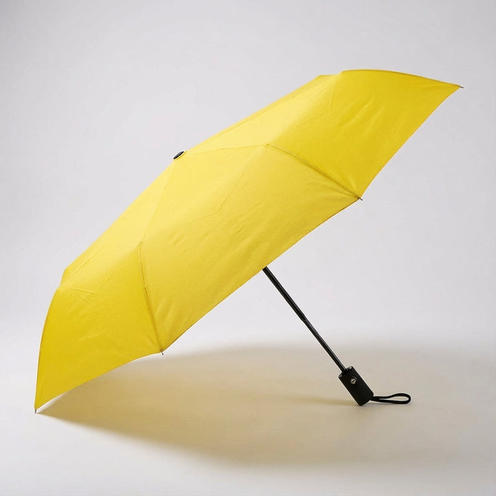 Easy-to-carry BrollyMate compact travel umbrella. Automatic, windproof rain gear for daily use.