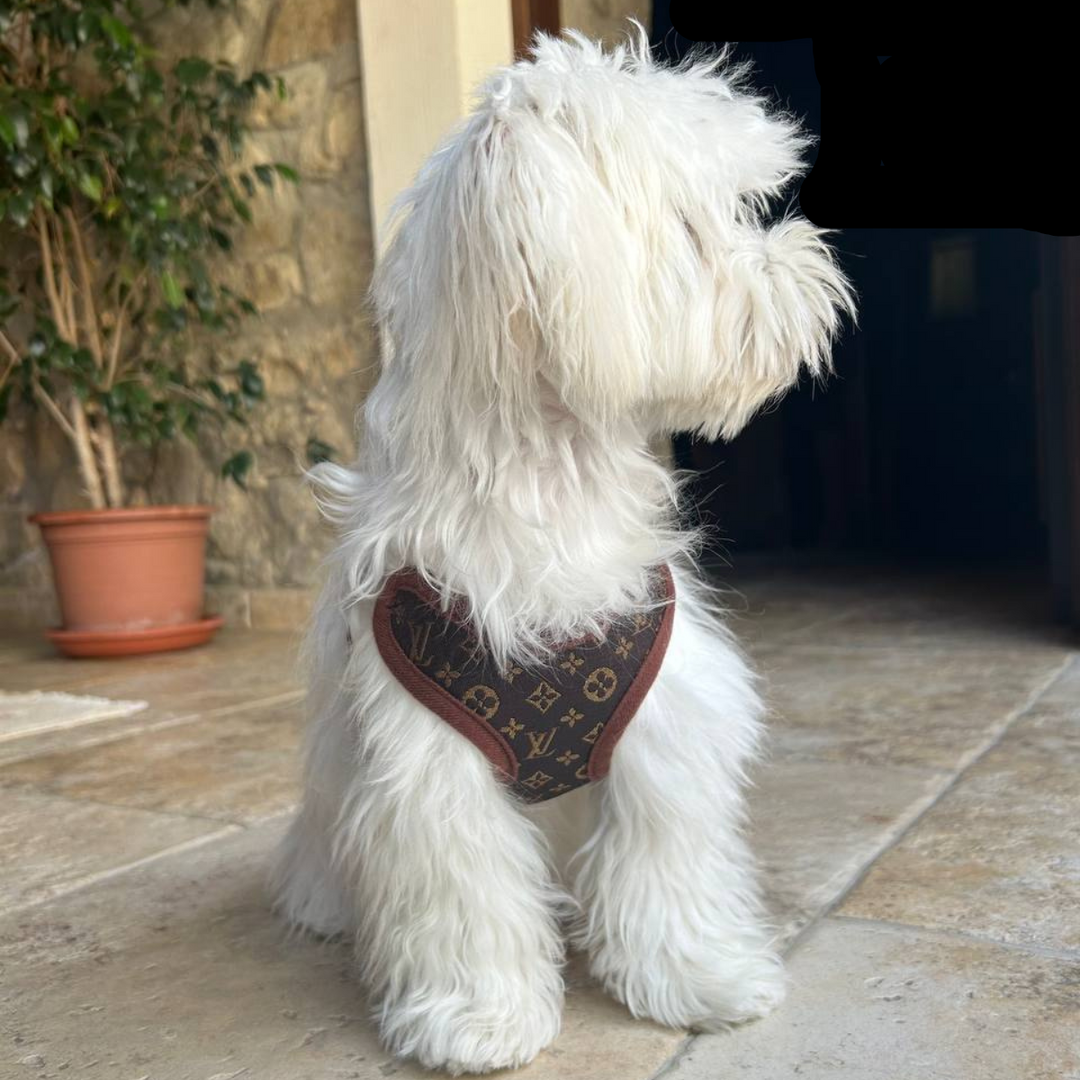 Adjustable, breathable no-pull dog harness & matching leash. Comfortable for small, medium, large dogs.