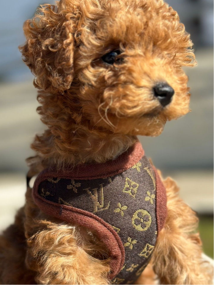 Matching brown dog harness and leash set. Features an adjustable, breathable no-pull design for all sizes.