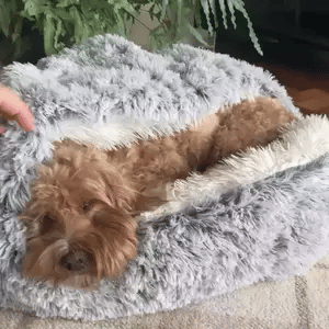 Grey calming dog bed, ultra-soft and supportive, ensures deep relaxation & a safe pet sanctuary for your dog.