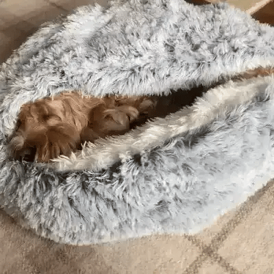 Cozy cave pet bed, washable and plush, designed for anxious dogs seeking deep sleep and comfort.