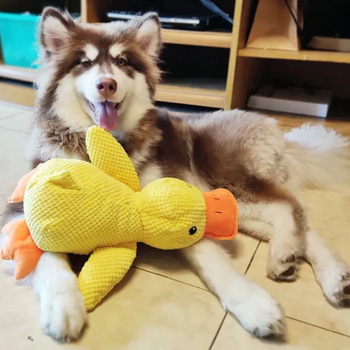 Washable calming duck toy, ideal for puppies and adult dogs needing stress relief.