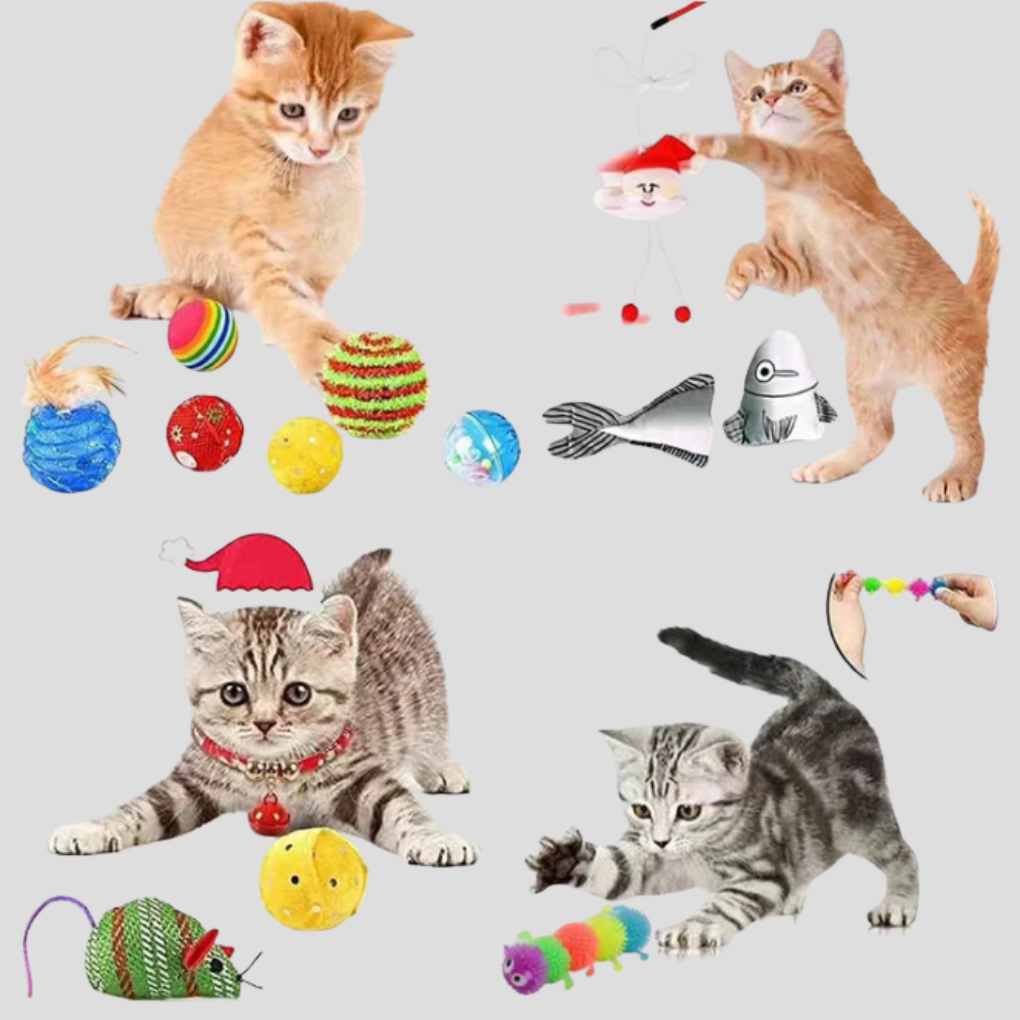 Festive Cat Advent Calendar displaying 24 doors, each hiding a fun interactive cat toy for a holiday countdown.
