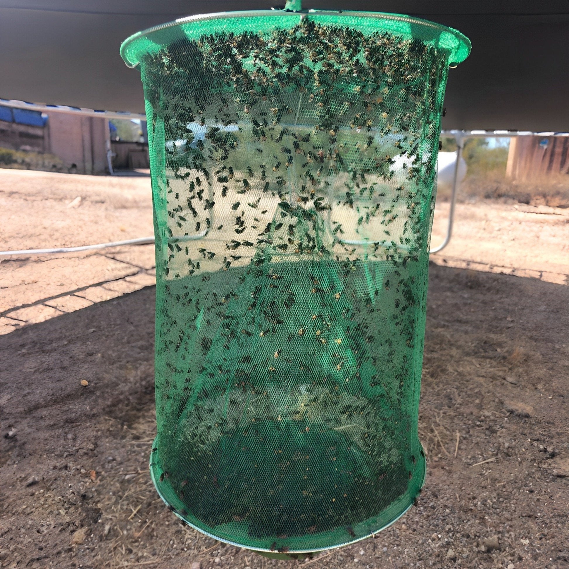 Durable stable fly trap, reusable & non-toxic. Effective insect control for a pest-free outdoor space.