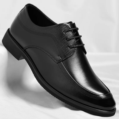Versatile men's everyday shoes. Classic comfort dress shoes, suitable for office, formal, and casual settings.