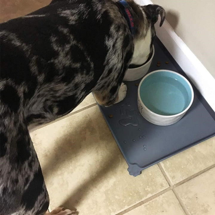Flexible waterproof pet feeding mat, rolls up for storage, perfect for travel or home use.