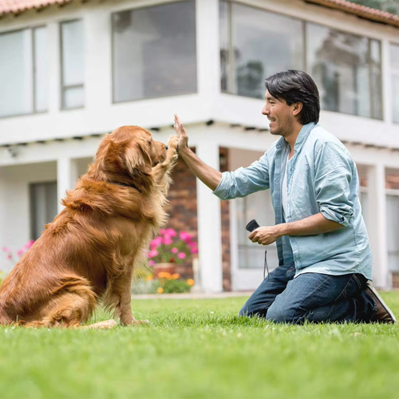 Sleek indoor ultrasonic dog training device. Quietly stops barking, humane pet behavior & bark control.