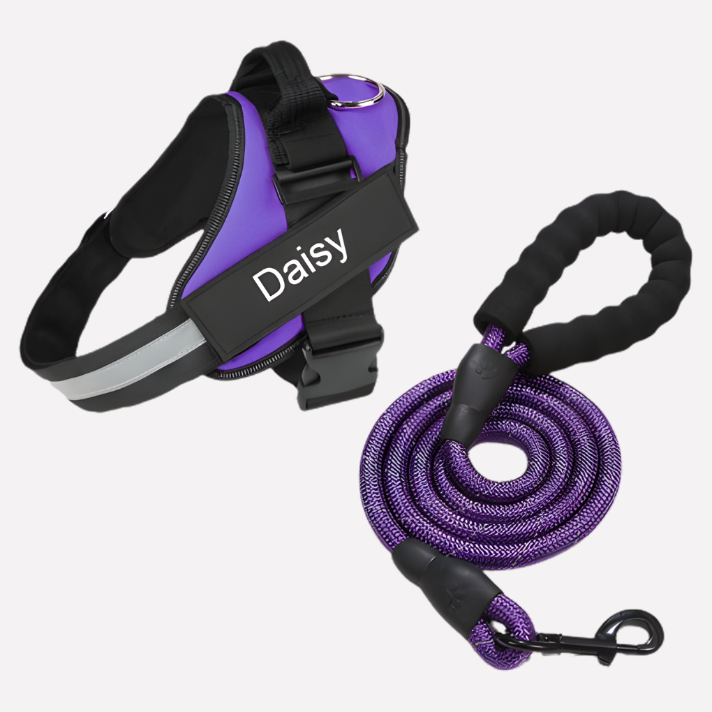 Effective dog training harness, anti-pull design for improved control and comfortable walking.