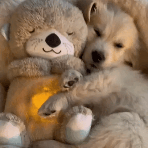 Soft plush calming toy, perfect for promoting relaxation and reducing stress in kids & adults.