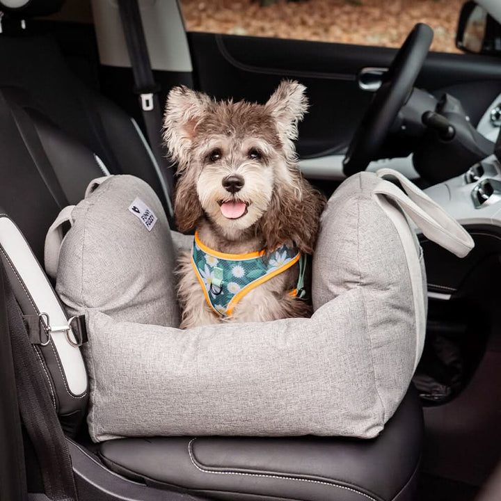 Road trip ready dog booster car seat, designed for comfort & safety with belt & non-slip features.