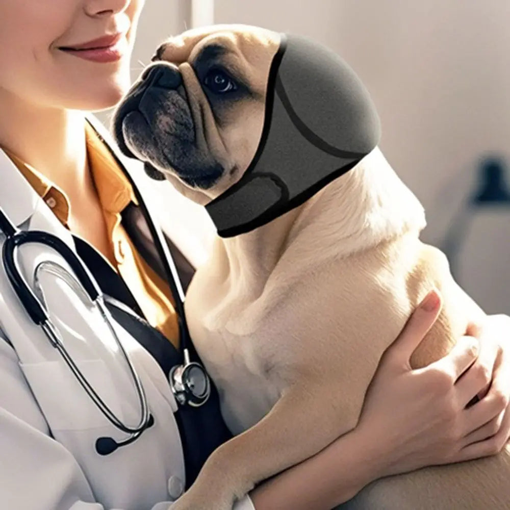 Dog Calming Earmuffs for Noise Reduction & Anxiety Relief, comfortable pet ear protection.