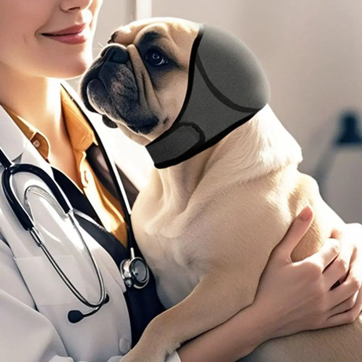 Dog Calming Earmuffs for Noise Reduction & Anxiety Relief, comfortable pet ear protection.